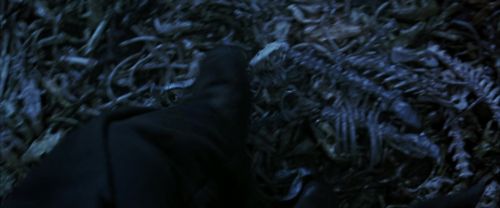 CS-Potterish_08252.jpg