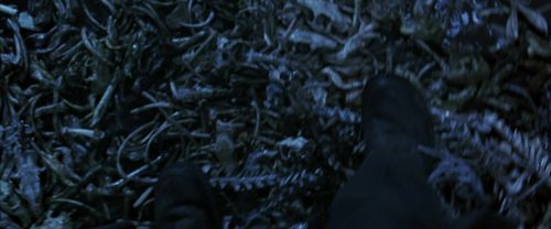 CS-Potterish_08253.jpg