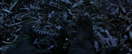 CS-Potterish_08254.jpg