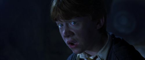 CS-Potterish_08296.jpg