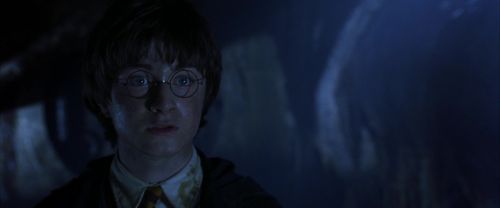 CS-Potterish_08331.jpg
