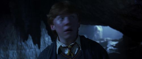 CS-Potterish_08344.jpg