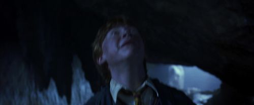CS-Potterish_08346.jpg