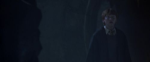 CS-Potterish_08351.jpg