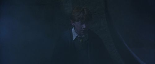 CS-Potterish_08363.jpg