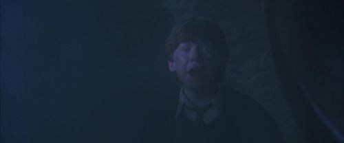 CS-Potterish_08370.jpg