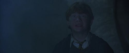 CS-Potterish_08403.jpg