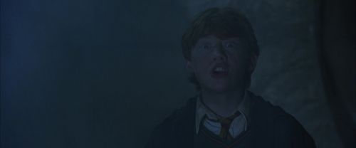 CS-Potterish_08404.jpg