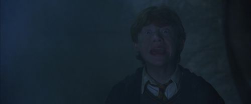CS-Potterish_08405.jpg