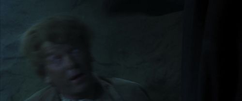 CS-Potterish_08417.jpg