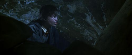 CS-Potterish_08428.jpg