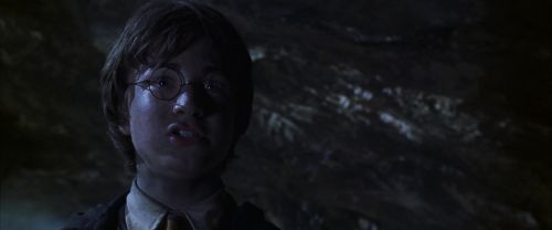 CS-Potterish_08453.jpg