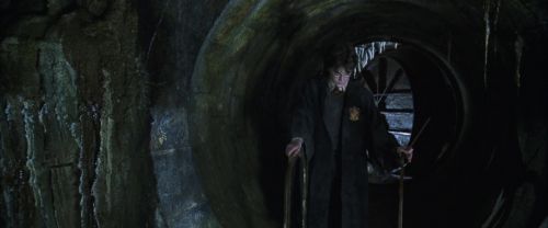 CS-Potterish_08490.jpg