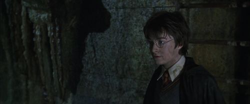 CS-Potterish_08504.jpg
