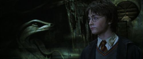 CS-Potterish_08518.jpg