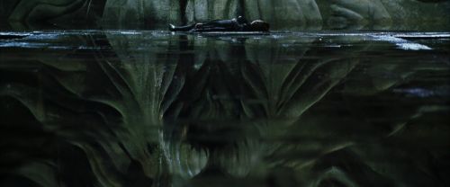 CS-Potterish_08526.jpg