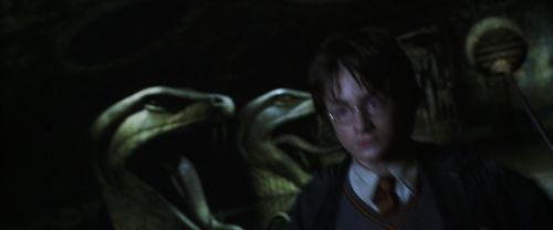 CS-Potterish_08535.jpg