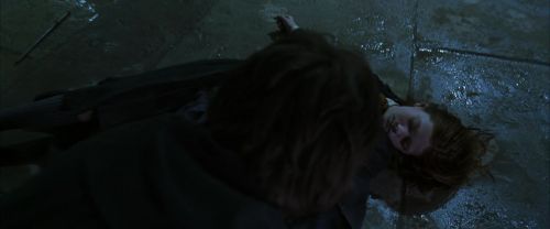 CS-Potterish_08539.jpg