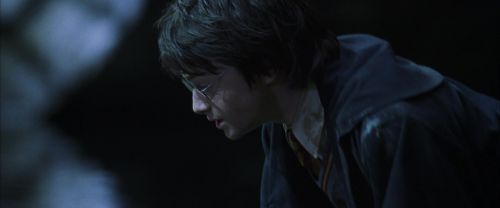 CS-Potterish_08548.jpg