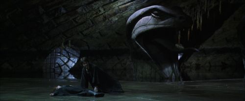 CS-Potterish_08557.jpg