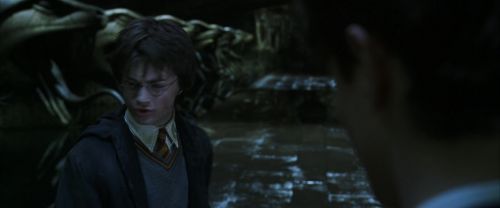 CS-Potterish_08595.jpg