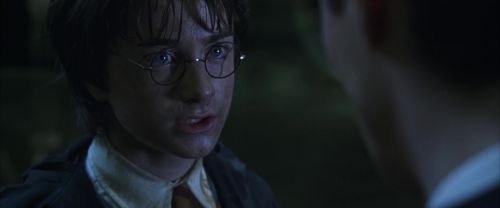 CS-Potterish_08663.jpg