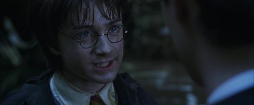 CS-Potterish_08704.jpg