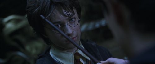 CS-Potterish_08729.jpg