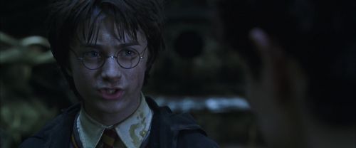 CS-Potterish_08736.jpg