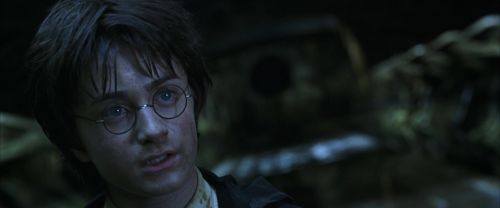 CS-Potterish_08775.jpg