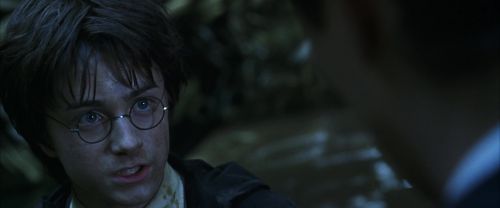 CS-Potterish_08795.jpg