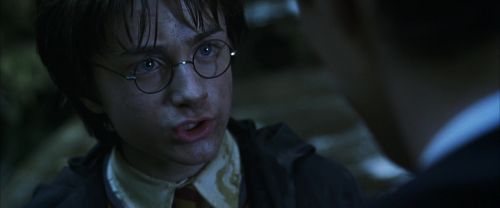 CS-Potterish_08798.jpg