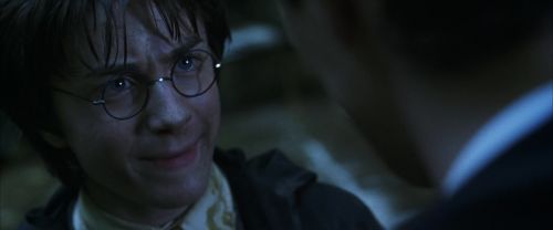 CS-Potterish_08806.jpg