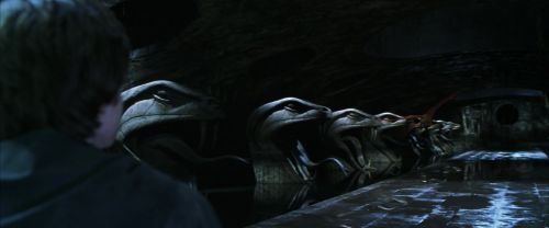CS-Potterish_08828.jpg