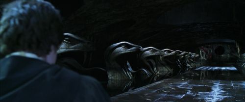 CS-Potterish_08829.jpg