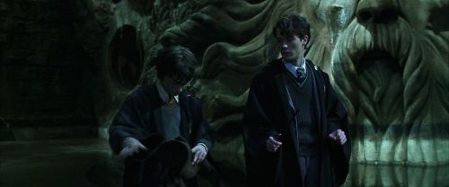 CS-Potterish_08831.jpg