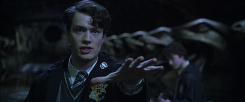CS-Potterish_08850.jpg
