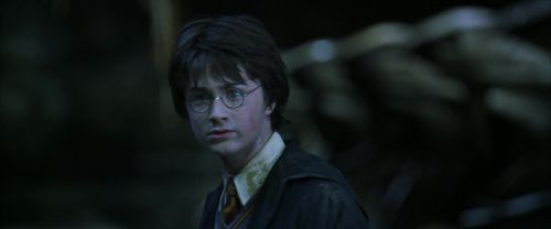 CS-Potterish_08856.jpg