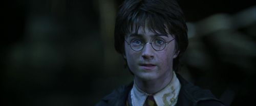 CS-Potterish_08869.jpg
