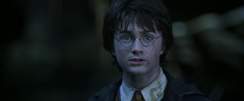 CS-Potterish_08870.jpg