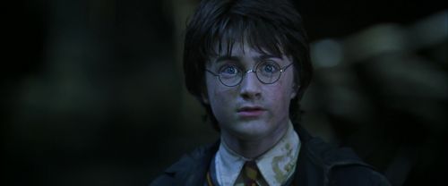CS-Potterish_08871.jpg