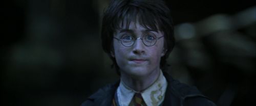CS-Potterish_08878.jpg