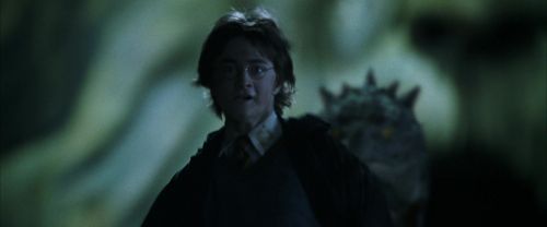 CS-Potterish_08898.jpg