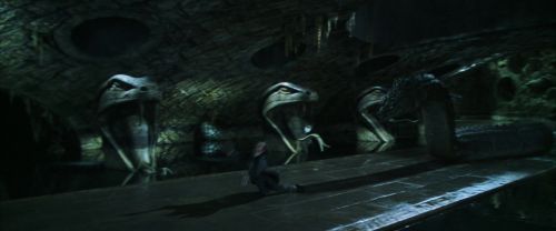 CS-Potterish_08900.jpg