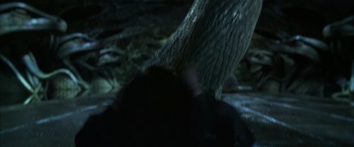 CS-Potterish_08906.jpg