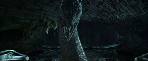 CS-Potterish_08907.jpg