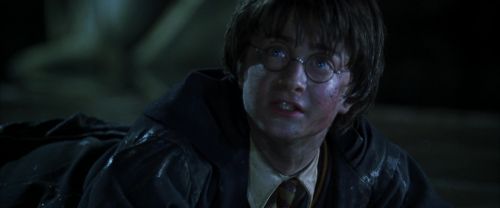 CS-Potterish_08917.jpg
