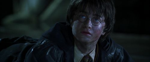 CS-Potterish_08918.jpg
