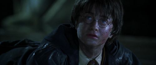 CS-Potterish_08922.jpg