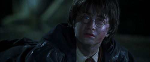 CS-Potterish_08923.jpg